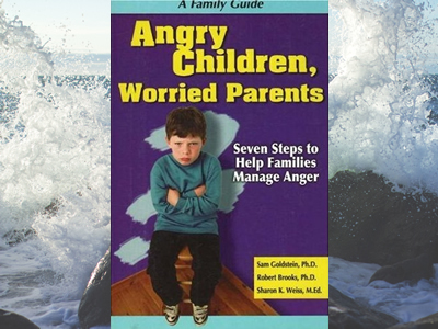 Angry Children, Worried Parents: Seven Steps to Help Families Manage Anger
